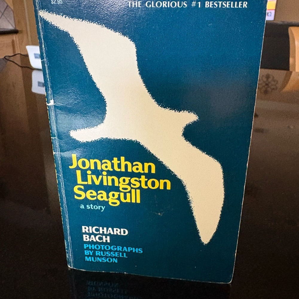 Jonathan Livingston Seagull Book